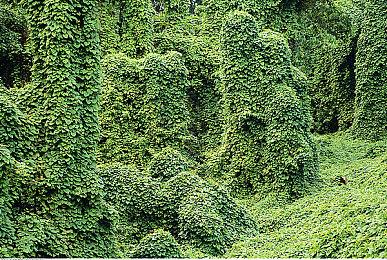 港服PS Store 开启年中优惠 游戏最低至2折