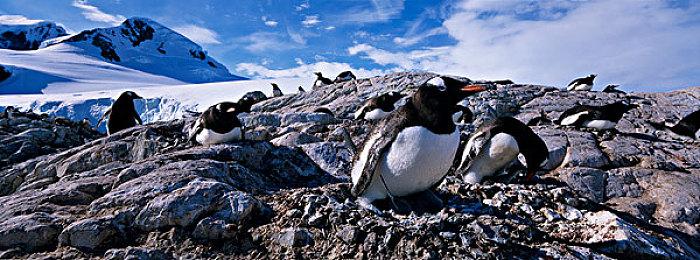 VR互动控制器专利曝光：可以在游戏中喝点东西